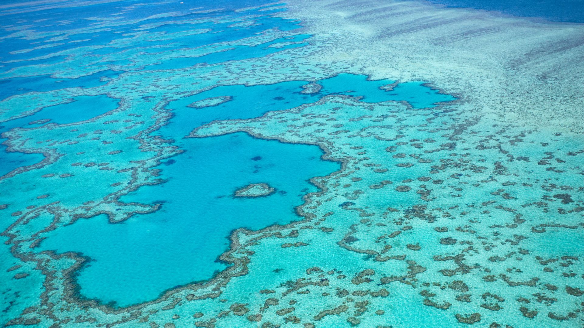 Sublime Barrière de Corail côte est de l'Australie- voyage sur mesure en Australie avec Ôphar'away