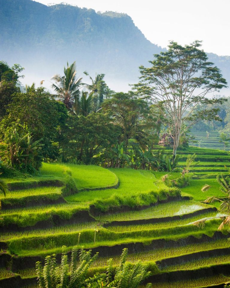 Voyage sur mesure en Asie Bali— Ôphar'away