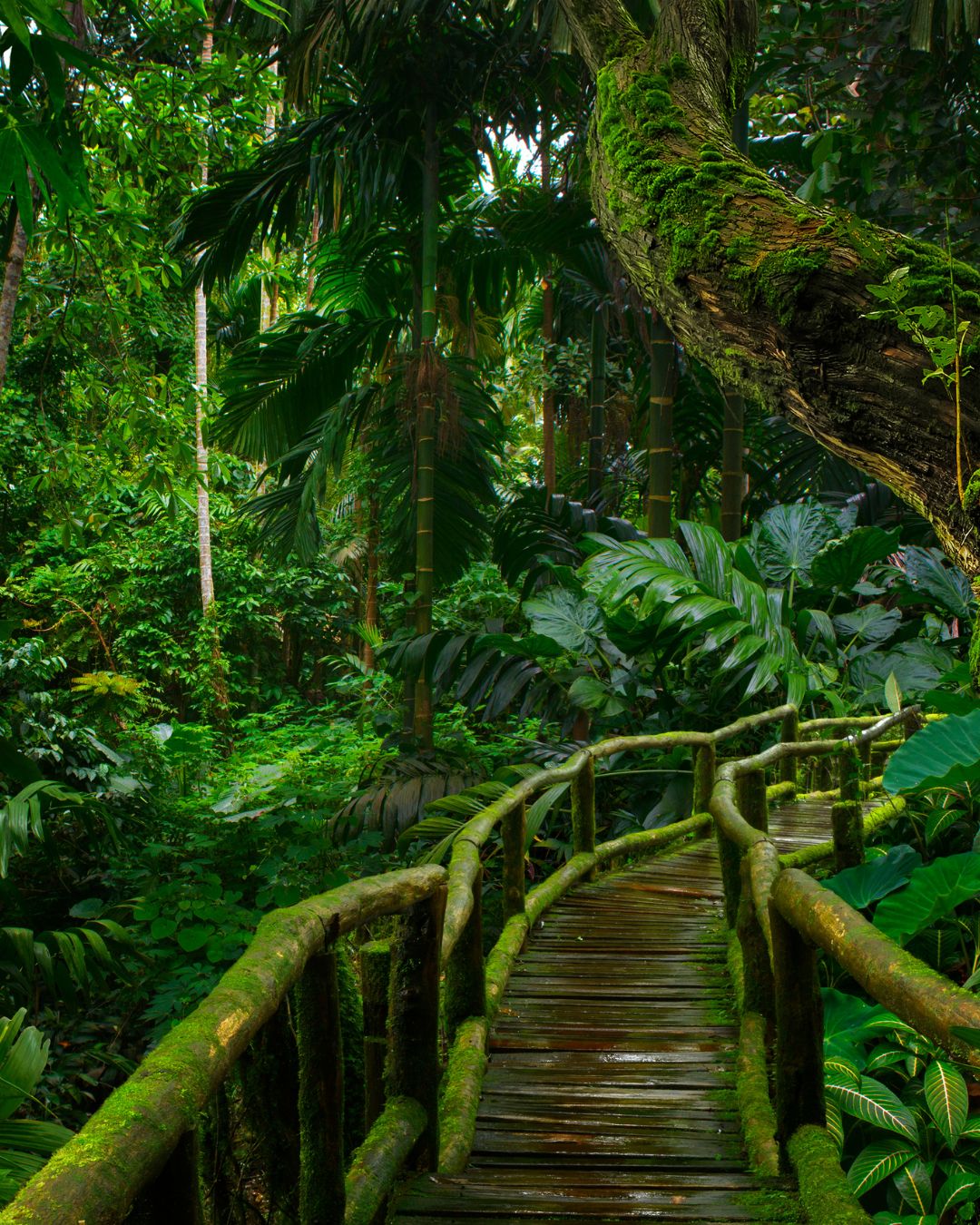 Voyage sur mesure en Asie — Ôphar'away
