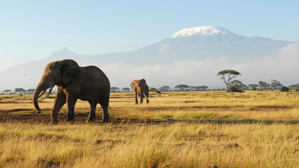 Voyage sur mesure en Afrique Tanzanie — Ôphar'away