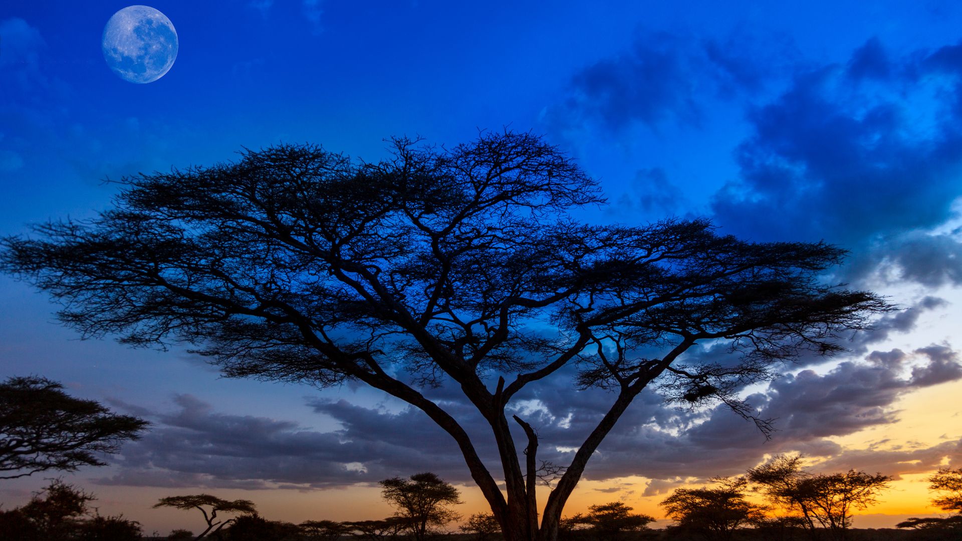Voyage sur mesure en Afrique - coucher de soleil — Ôphar'away