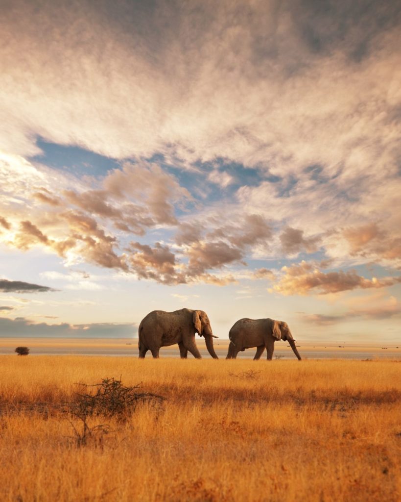 Voyage sur mesure en Afrique- Kenya — Ôphar'away