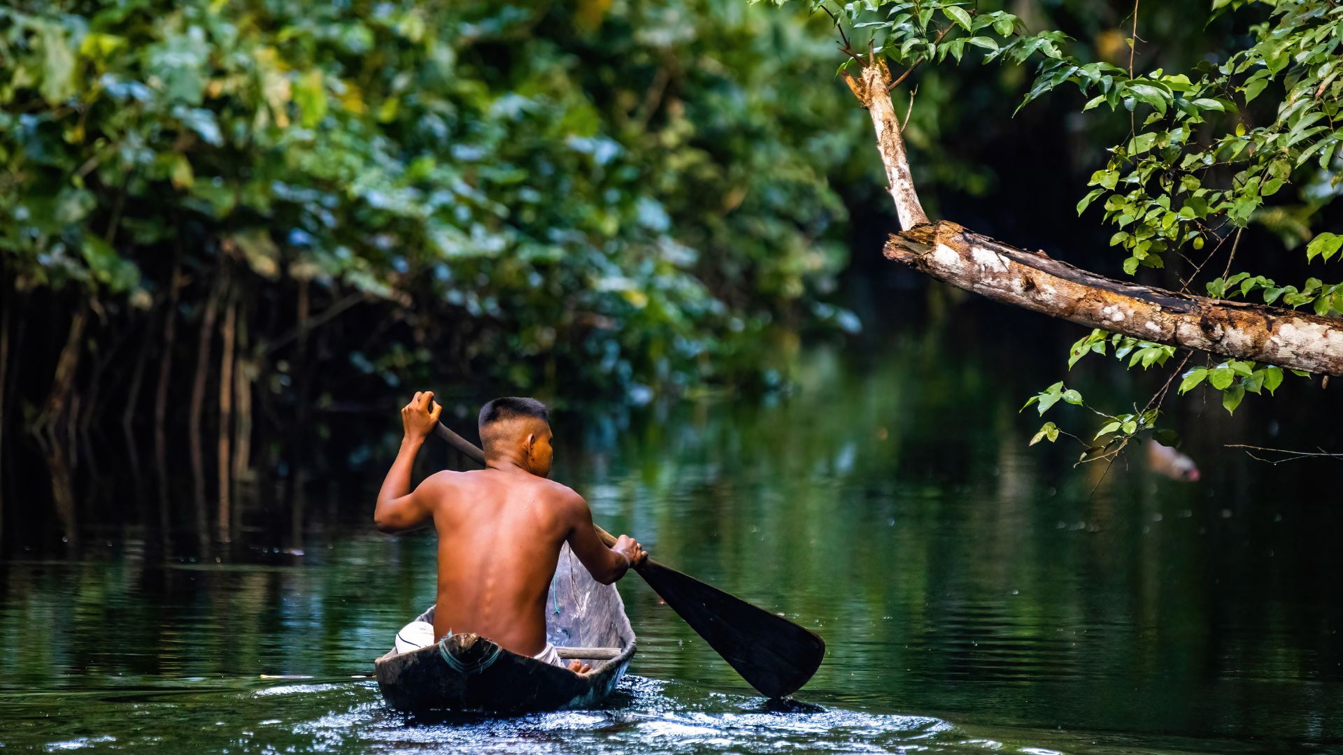 Voyage sur mesure en Amérique du Sud- Magnifique Amazonie au Brésil — Ôphar'away