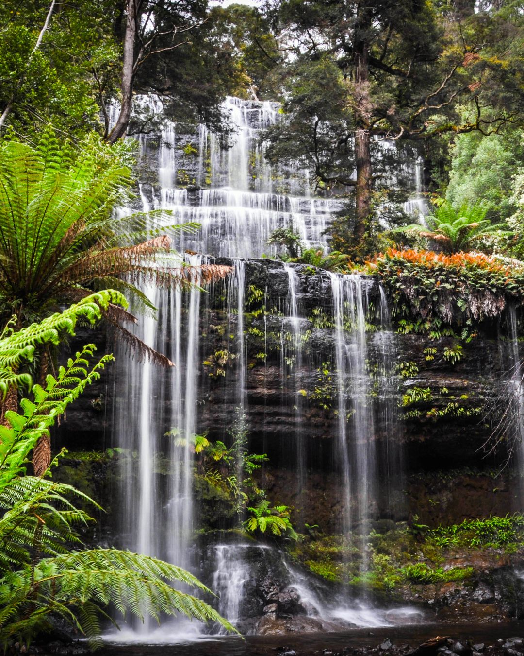 Voyage sur mesure en Nouvelle Zélande -magnifique cascade  — Ôphar'away
