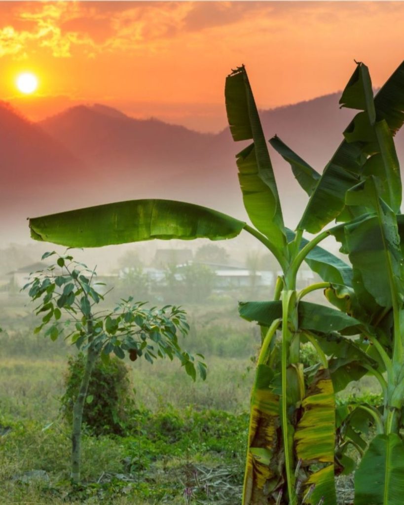 voyages sur mesure en Asie avec Ôphar'away-magnifique paysage en Thaïlande